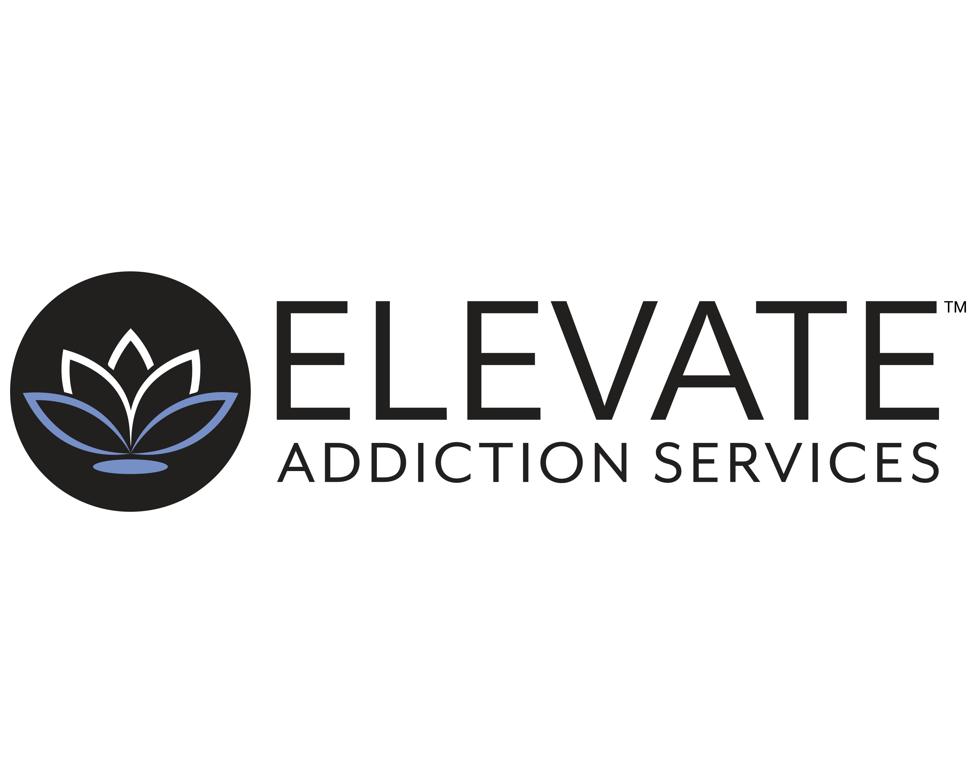 Elevate Addiction Services